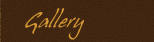 Check out our new gallery!